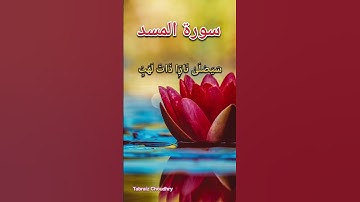 Surah Al Masad سورة المسد beautiful voice of  Hani ar-Rifai #islamicprayer #quran #almasad