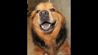 FOHA Buddies  - REMEMBERING RANDALL