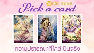 Pick a Card ความปรารถนาที่ใกล้เป็นจริง ภายใน 6 เดือนข้างหน้า และสิ่งที่จักรวาลอยากบอกหลังจากนั้น