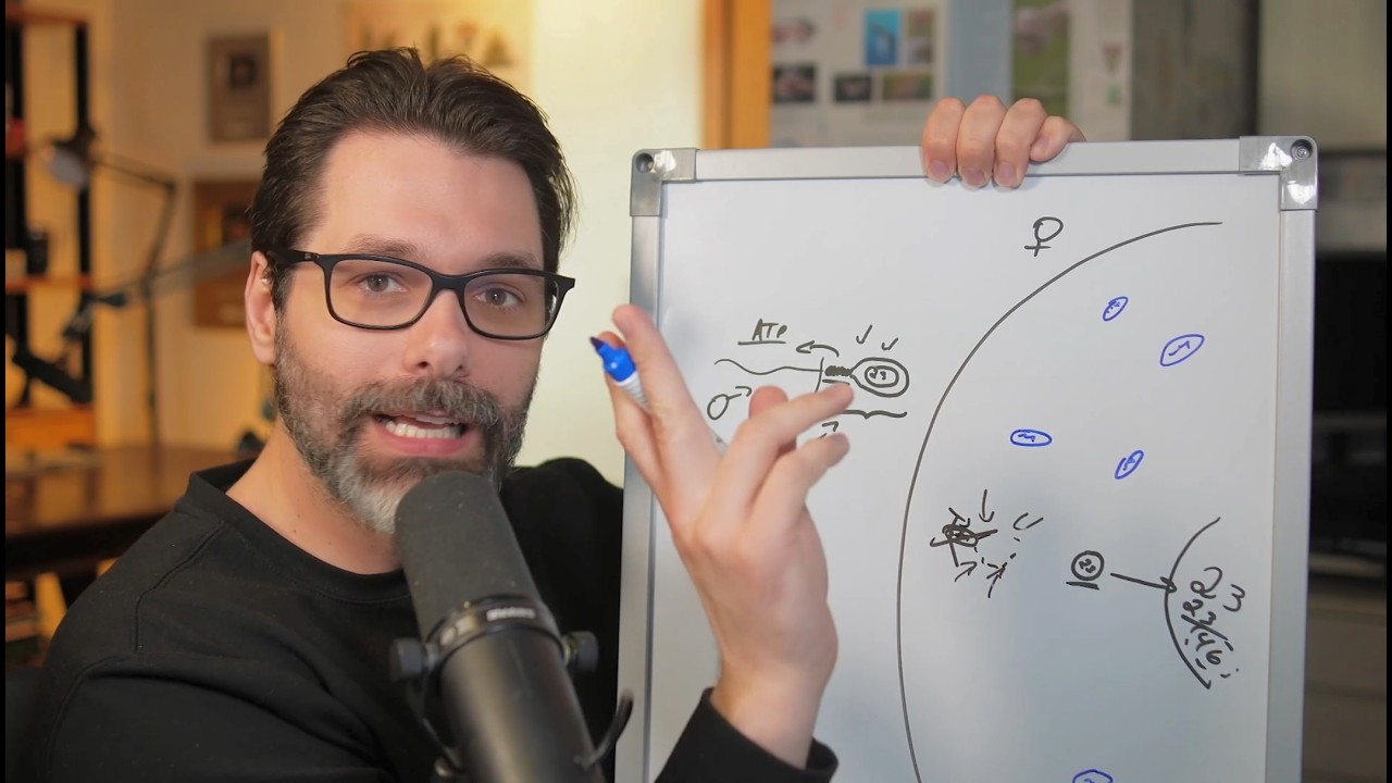 Latest Title & Thumbnail