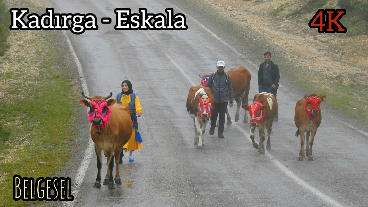 KADIRGA YAYLASI GÖÇ YOLU