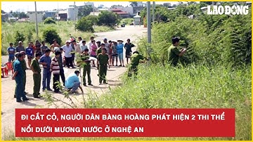 Thời sự nóng: Đi cắt cỏ, người dân bàng hoàng phát hiện 2 thi thể nổi dưới mương nước ở Nghệ An