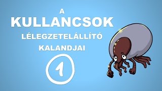 A kullancsok lélegzetelállító kalandjai - csak egyszerűen (1. rész)