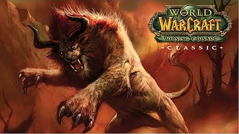 TBC Classic Druid Feral DPS karazhan