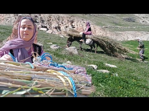 The life of a nomadic family: carrying straw with a donkey by a nomadic woman 🌳👩🏻‍🦰🏕🦓