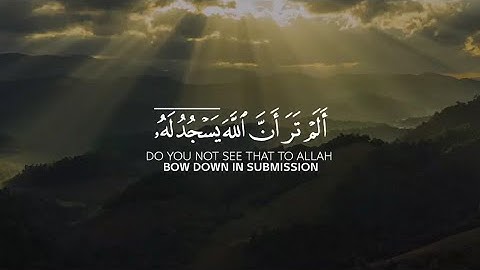 ألم تر ان الله يسجد له من في السماوات | حالات واتس قران❤️ | القارئ فاتح سفرجيك