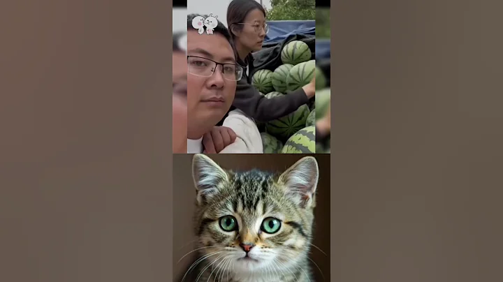 Watch the video about He's used to it 😹#cat #funny #memes #trending #shorts