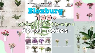 100  Bloxburg plant 🌱 and flowers 💐 decal codes