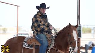 Box Work with Rhen Richard | X Factor Team Roping | Heading Tips screenshot 2