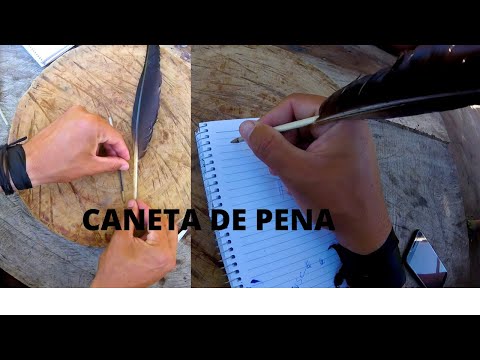 Vídeo: Como Fazer Uma Caneta Esferográfica De Pena De Pássaro