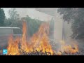 حرائق الغابات في اليونان تخرج عن السيطرة... والرياح تعرقل جهود الإطفاء