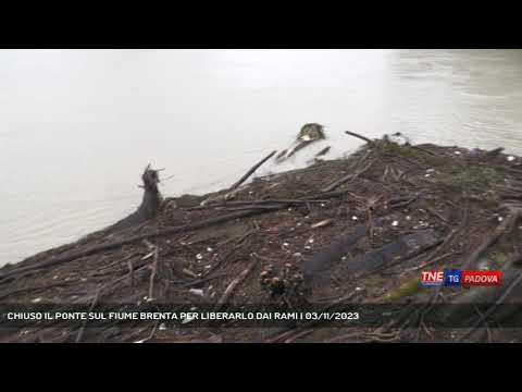 CHIUSO IL PONTE SUL FIUME BRENTA PER LIBERARLO DAI RAMI | 03/11/2023