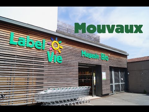 Vidéo: Top 10 Des Magasins D'aliments Biologiques à Delhi