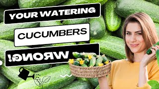 Cucumber Care 101 - How To Guide