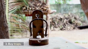 What to do if you find a rat or mouse nest? - Rodent Exterminator