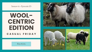 Hair Sheep and other Rare Breeds // Casual Friday S6E20
