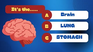 How Many Human Body organs Can You Guess? | Human body parts |  Guess the organ | quizz challenge