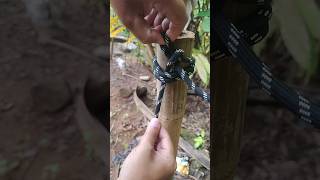The Silent Knot Hack