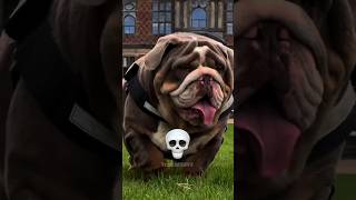 From Cute Pup To Beast Mode Dogs Shocking Transformation