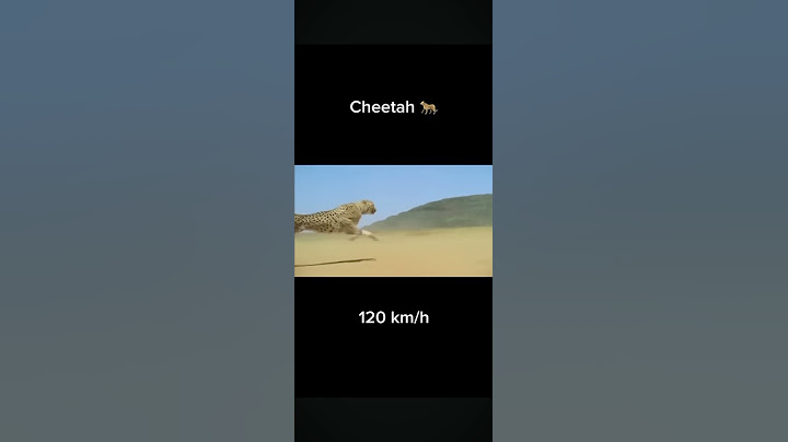 Japan Bullet Train🚄 is The Fastest Train in The World 1,200 km/h🤯 #shorts #Like #Debater