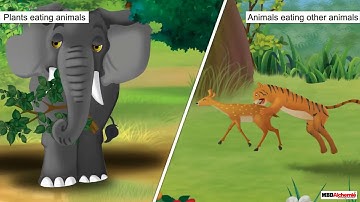 Class 3 Science - Living and Non-living Things | Differences between Plants and Animals