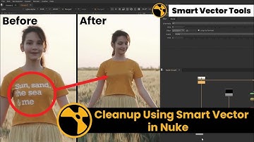 Cleanup using Smart Vector in Nuke