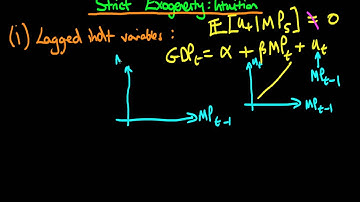 Strict exogeneity assumption - intuition