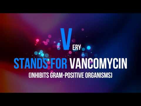 what-does-vpn-stand-for-in-medicine-(neisseria-gonorrhoeae)?