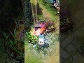 Sumail is HIM 👑 - ESL Dota 2