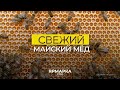 Метро-ТВ. Рекламный материал Ярмарка мёда