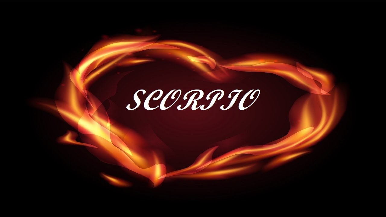 Scorpio Bonus ♏🤍