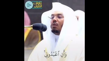 "أن لا تعبدوا الشيطان"😔 | ترتيل الشيخ ياسر الدوسري | #تلاوات_القرآن