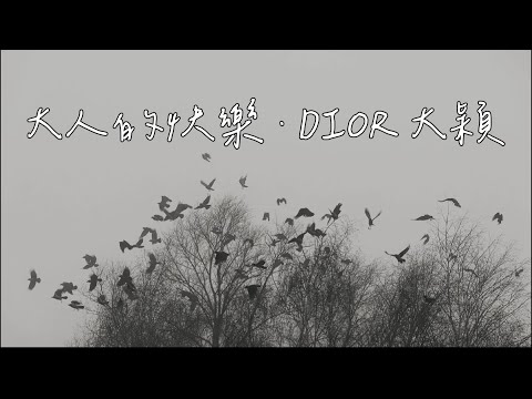 [VIETSUB LYRICS] 大人的快樂 - 大穎 | NIỀM VUI CỦA NGƯỜI TRƯỞNG THÀNH - DIOR