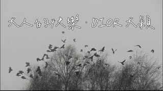 [VIETSUB LYRICS] 大人的快樂 - 大穎 | NIỀM VUI CỦA NGƯỜI TRƯỞNG THÀNH - DIOR
