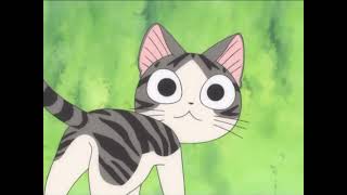 Chi Sweet Home - Chi and Cocchi Meet  (Full Episode!!) 🐾 🐾