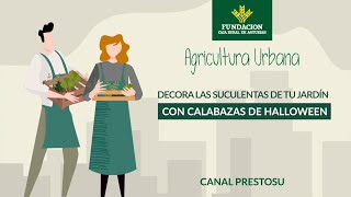 Canal Prestosu | Agricultura urbana: 🎃cómo hacer unas #macetas para #suculentas usando #calabazas 🎃