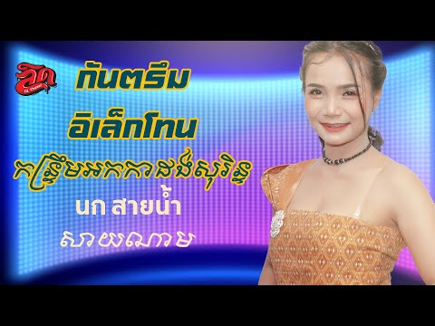 กันตรึมอิเล็กโทน นกสายน้ำ កន្ទ្រឹមអកកាដង់សុរិន្ទ - សាយណាម【Official】