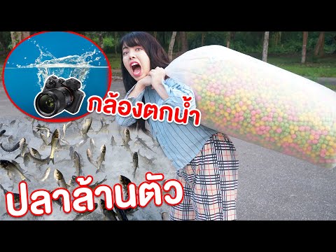 ให้อาหารปลาสี ล้านตัว แต่กล้องตกน้ำ!!