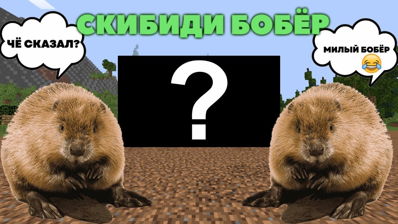 Строение бобра