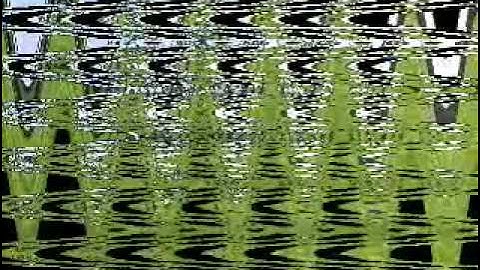 ɔısnɯ ƃuıʇʇıɟun ʎɐןd ı ǝןıɥʍ ɹǝuǝıןʞ sןןıʞ ǝıqɯoz qɐɹɔpɐǝɥ