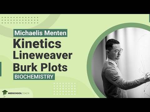 Lineweaver Burk Plots