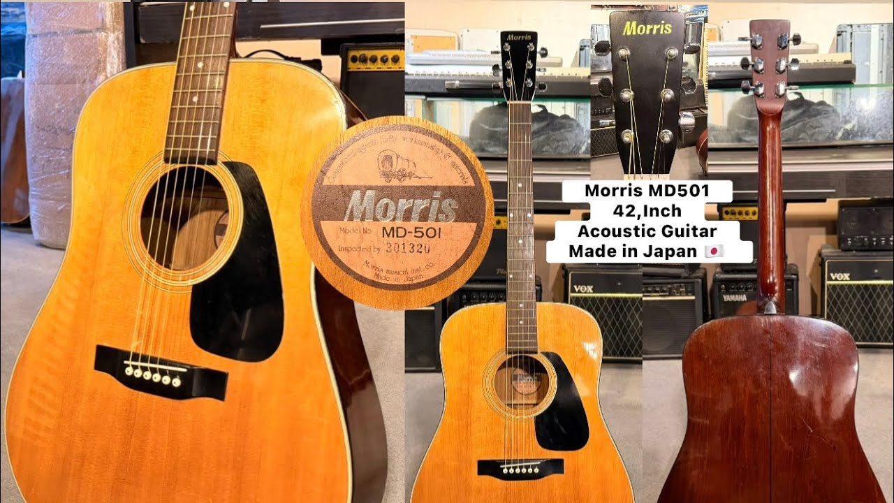 【アンティーク】Morris MD-501 アコースティックギター Morris MD-501 Dreadnought Acoustic Guitar ( Wilsons Music