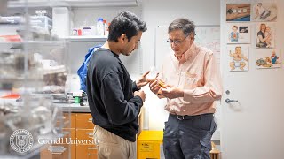 Research At Risk Life-Saving Heart Pumps For Babies