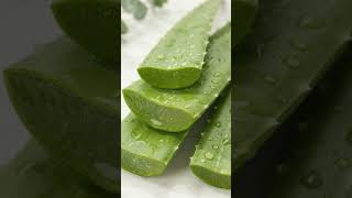 Aloe vera juice explained in Hausa.