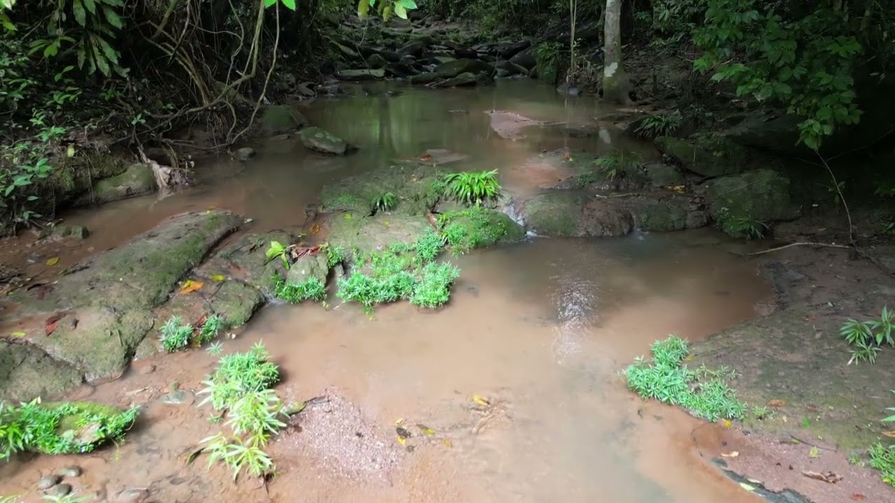 Real World Fantasy Realm