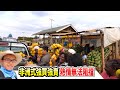 【非洲旅行6】坐車去中國在非洲的項目工地，實拍600裡城鄉，這才是真實非洲｜Go to Chinese construction sites in Africa，300km shots