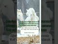 kimin kimde hakkı varsa alacak Allah huzurunda hak yeme
