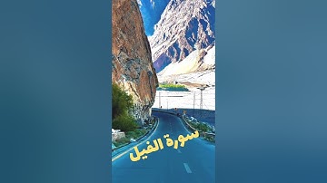 تلاوة مميزة لسورة الفيل للقارئ عبدالرحمن سعد #اكسبلور #المصحف #قرآن