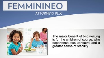 Bird Nesting After Your Michigan Divorce | MichiganDivorceHelp.com