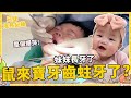 鼠來寶檢查牙齒蛀牙了？嚇到爆哭｜妹妹四個月長牙了【Bobo TV】兄妹成長紀錄